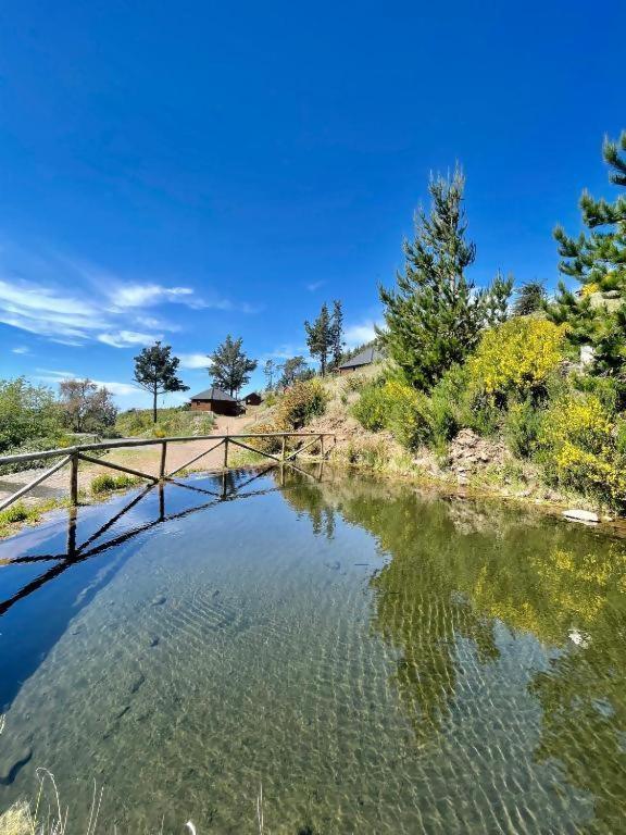 Mountain Eco Shelter 5 Hotell Funchal  Eksteriør bilde