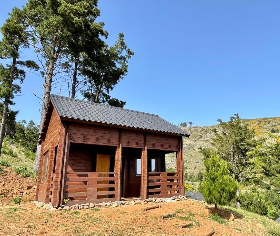 Mountain Eco Shelter 5 Hotell Funchal  Eksteriør bilde